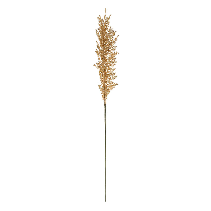 Wheat Stem