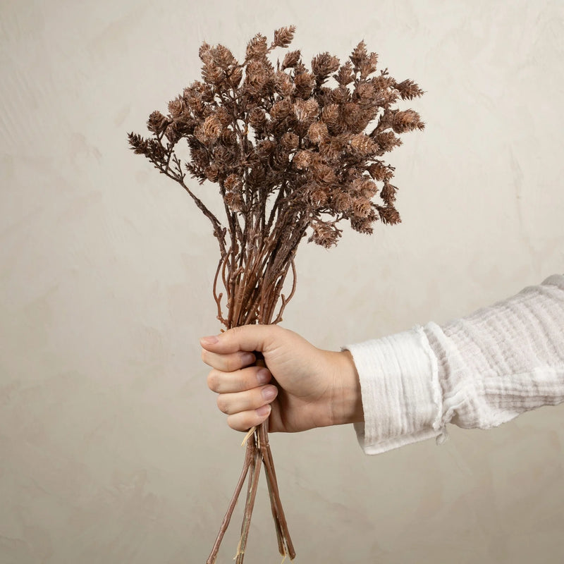 Brown Wild Grass Bundle