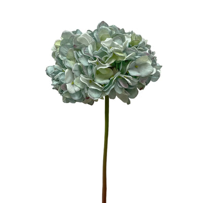 Decor and Housewares