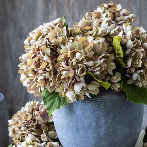 Hydrangea Stem | Dusk