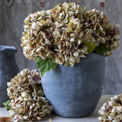 Hydrangea Stem | Dusk