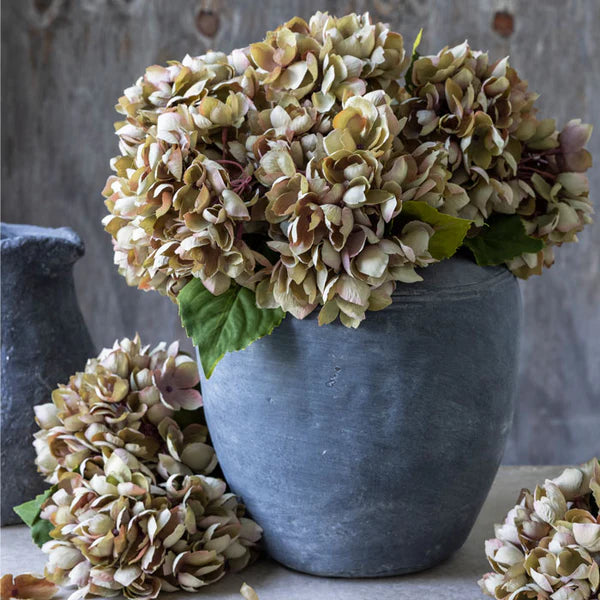 Hydrangea Stem | Dusk