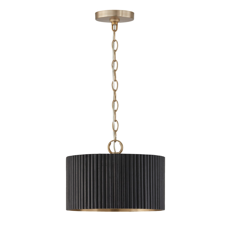 Donovan 1-Light Semi Flush Mount | Pendant