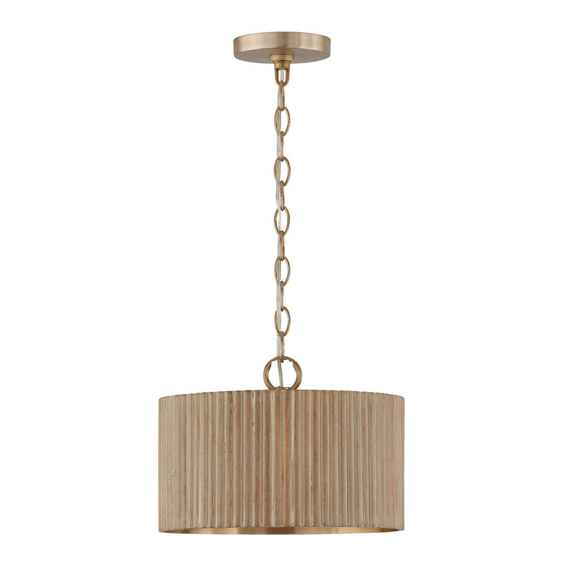 Donovan 1-Light Semi Flush Mount | Pendant