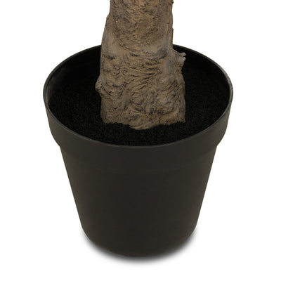 Faux Olive Tree | Wide