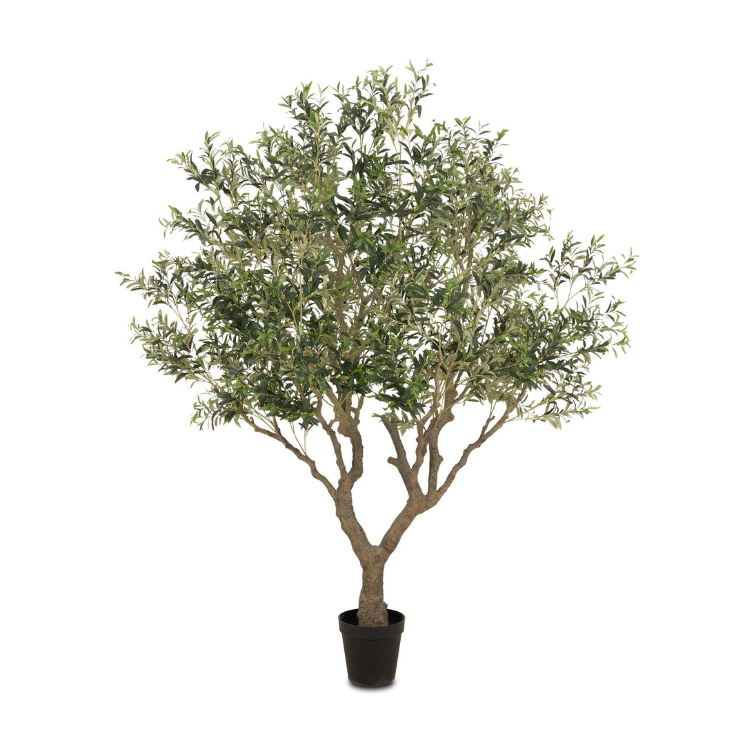 Faux Olive Tree | Wide - Modern Komfort Canada