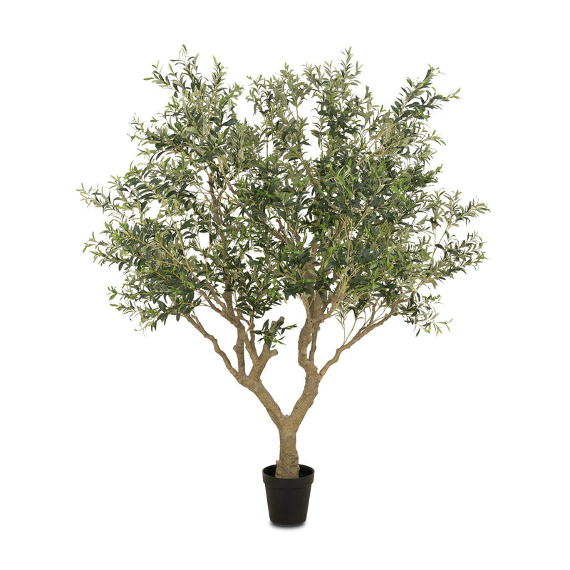 Faux Olive Tree | Wide