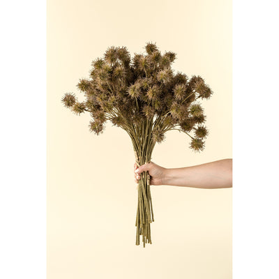 Chestnut Ball Bouquet | Purple / Green
