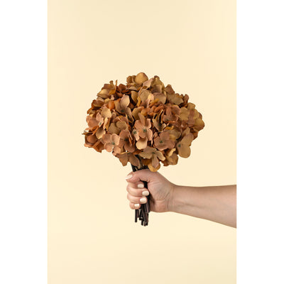 Hydrangea Bouquet | Russet