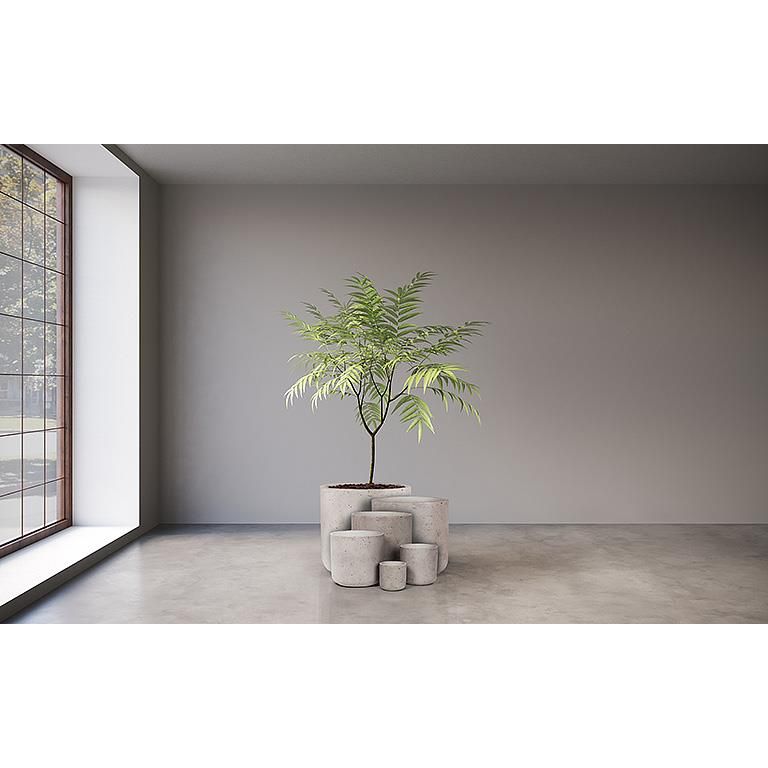 Remina 10" Planter | Grey Concrete
