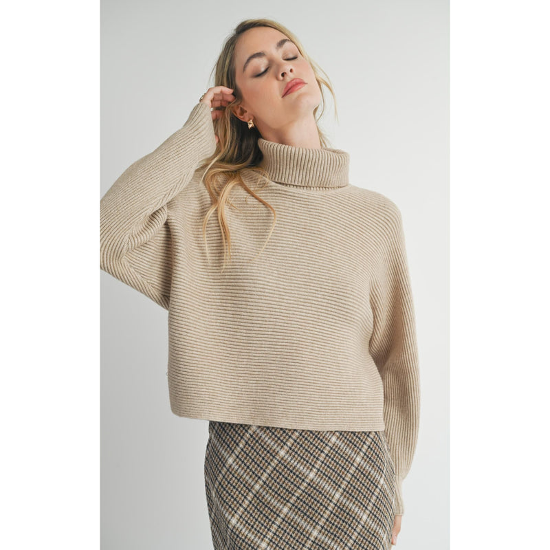 Anya Turtleneck Dolman Sweater