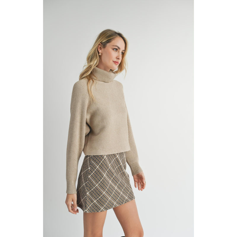 Anya Turtleneck Dolman Sweater