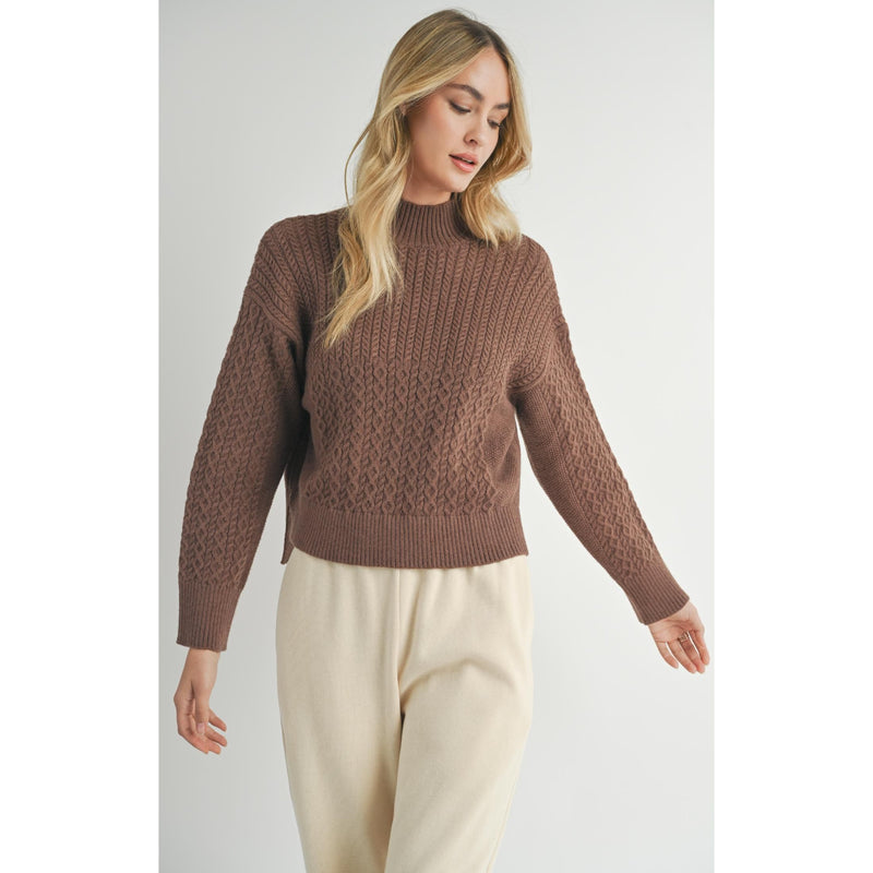 Brown Liss Turtleneck Sweater