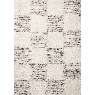Amira Rug 01 | Angela Rose X Loloi | Ivory / Granite