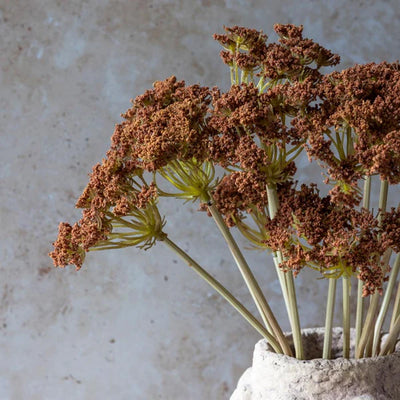 Yarrow Bunch | Henna