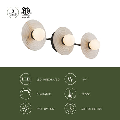 Dahlia 3 Light LED Wall Sconce