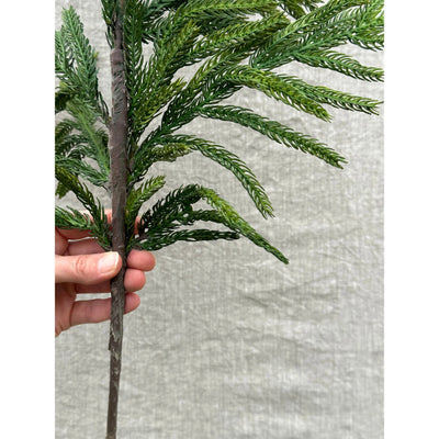 36" Fresh Touch Norfolk Pine Spray