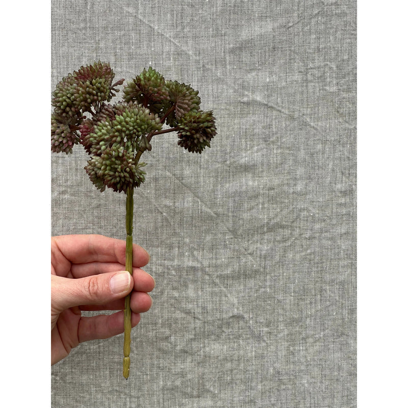 9" Burgundy Green Sedum Stem