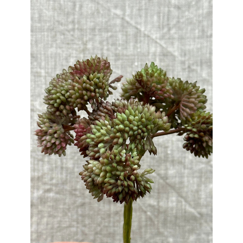 9" Burgundy Green Sedum Stem