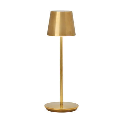Nevis LED Accent Rechargeable Table Lamp