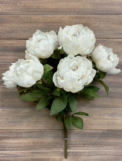 Decor and Housewares