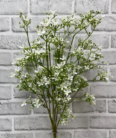 Decor and Housewares