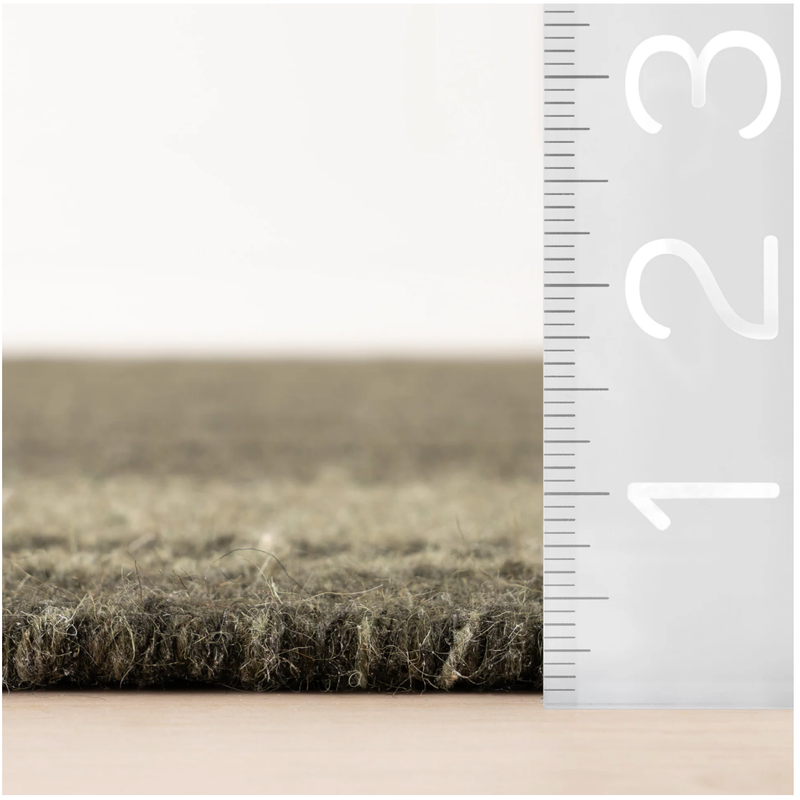 Canon Bordered Wool Cozy Rug by Nate Berkus | Green