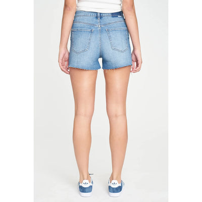 Troublemaker Distressed Shorts