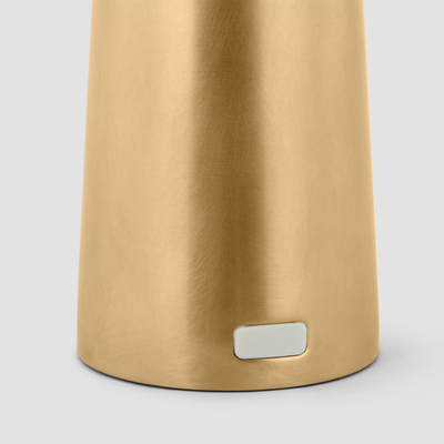 Sesa LED Accent Rechargeable Table Lamp