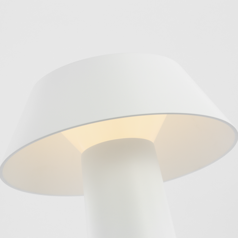 Sesa LED Accent Rechargeable Table Lamp