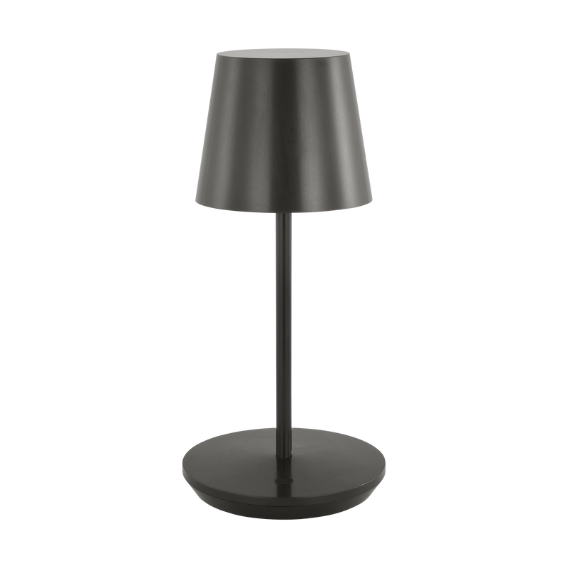 Nevis LED Accent Rechargeable Table Lamp