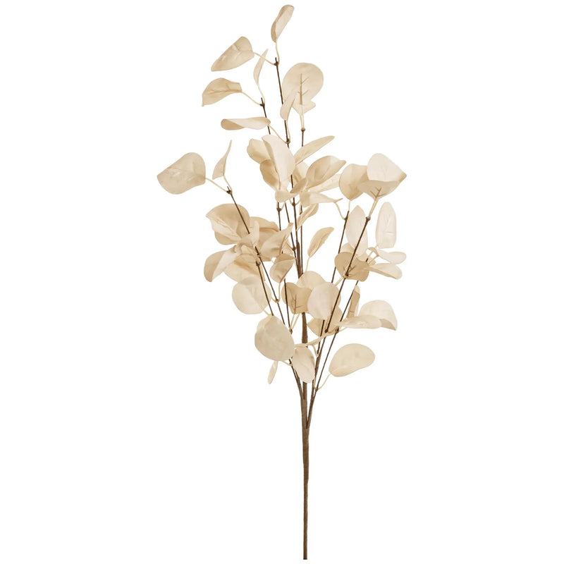 Beige Eucalyptus Spray