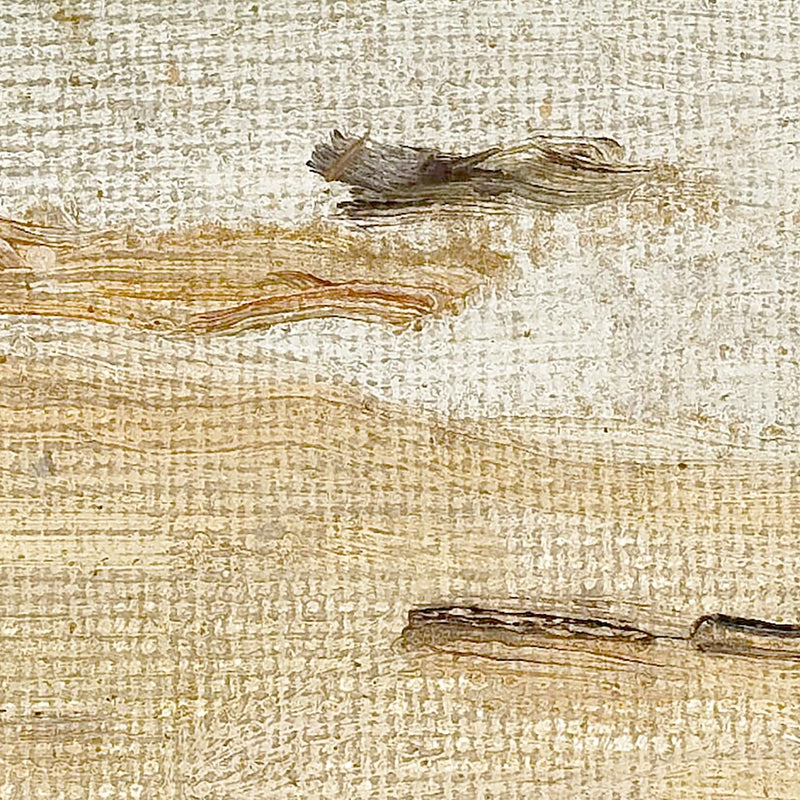 Raw Canvas Series - Seaside