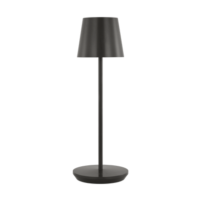 Nevis LED Accent Rechargeable Table Lamp