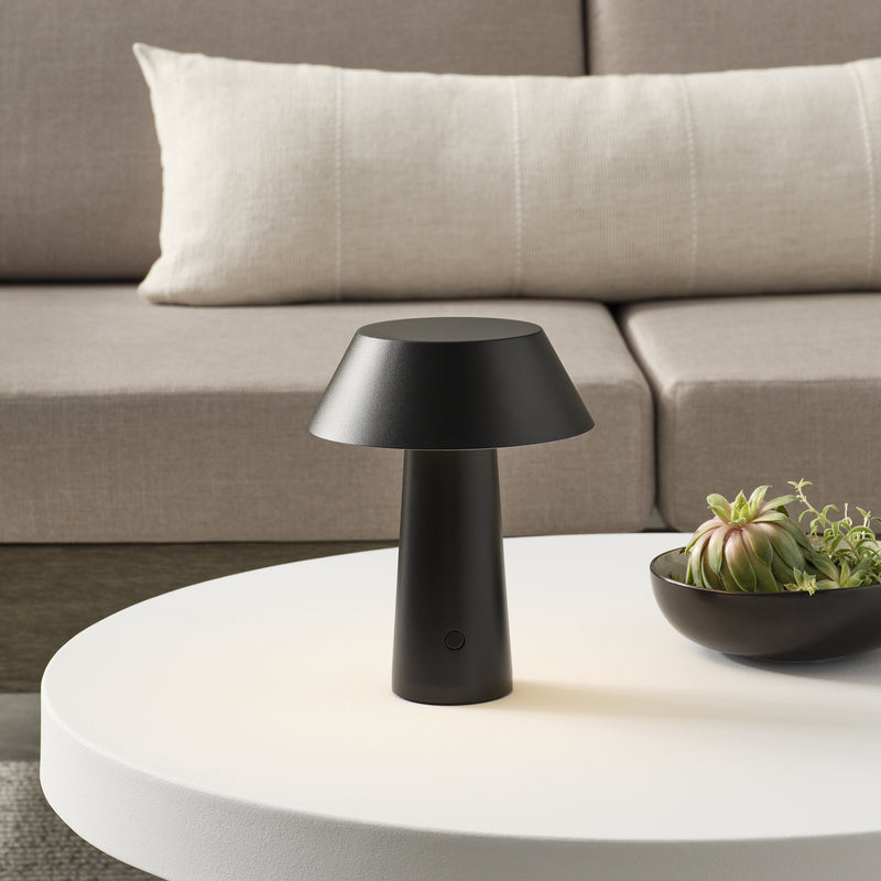Sesa LED Accent Rechargeable Table Lamp