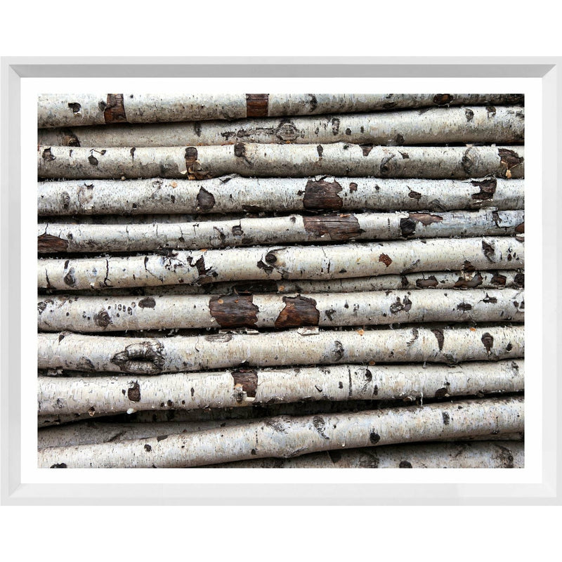 White Birch Abstract II - Small