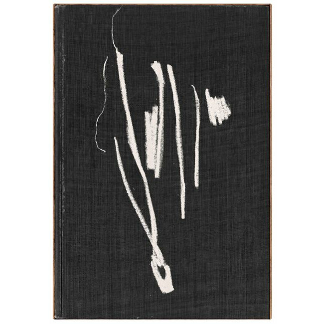 Novel