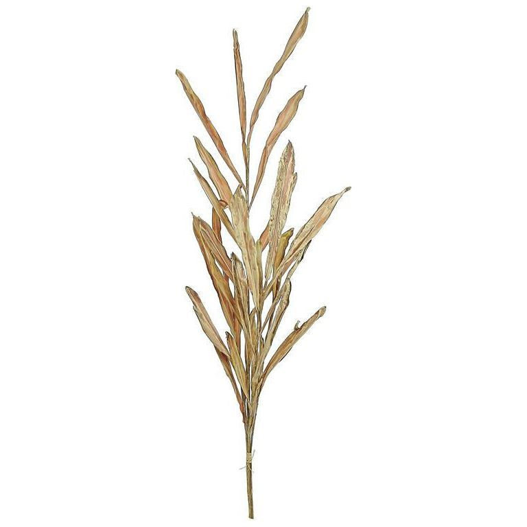 Dried River Grass Bundle | Beige