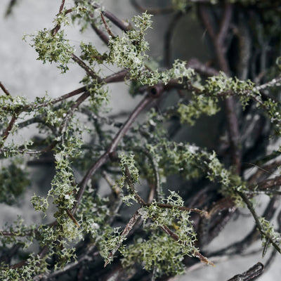 Wild Moss Wreath