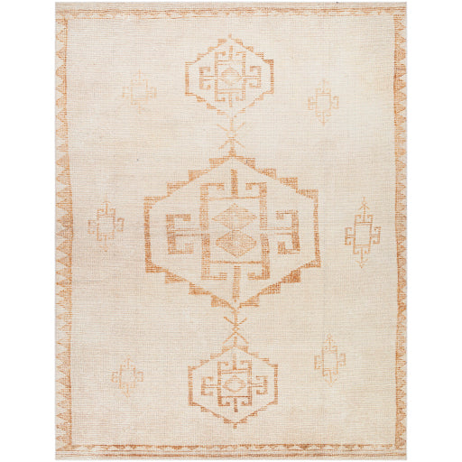 Solana Rug 2301