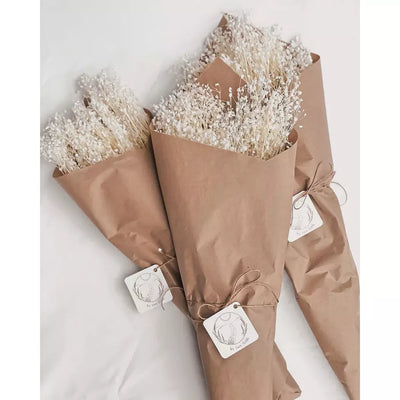 Preserved Baby's Breath | Bleached